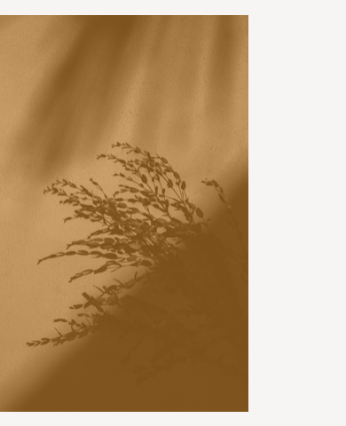 Texture ombre brune · graminées